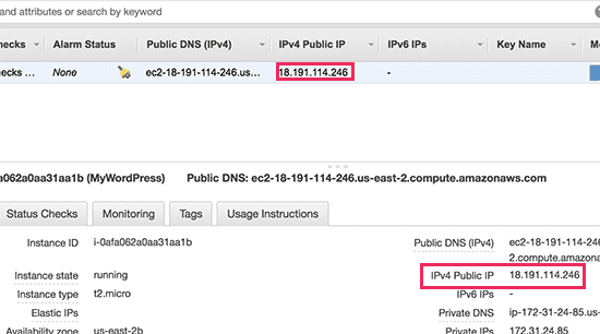 Your WordPress site's public IP address