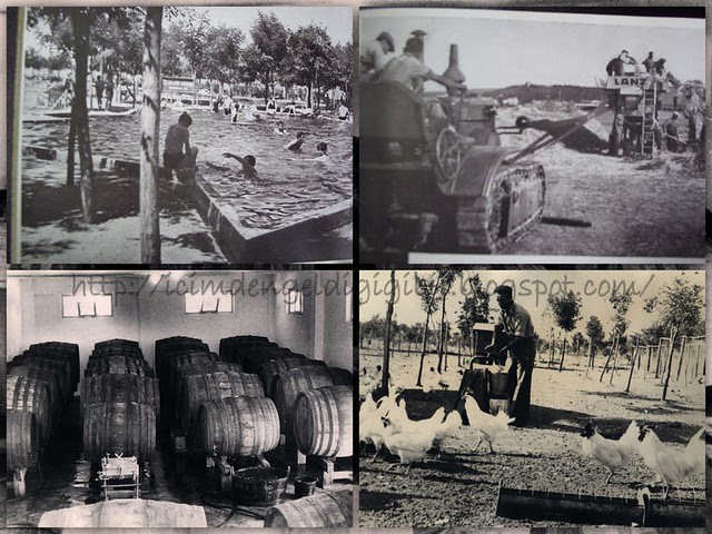ataurk orman 4