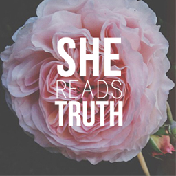  photo SRT_zps5a6e09ec.png