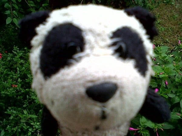 Image du Blog blogabouboule.centerblog.net