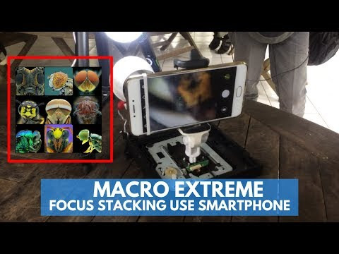Tutorial Focus Stacking dengan Smartphone
