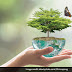 World Environment Day Images / World Environment Day Celebration Under The Sign Of Biodiversity 9th World Water Forum : Collection by ohprinca presentation • last updated 1 day ago.