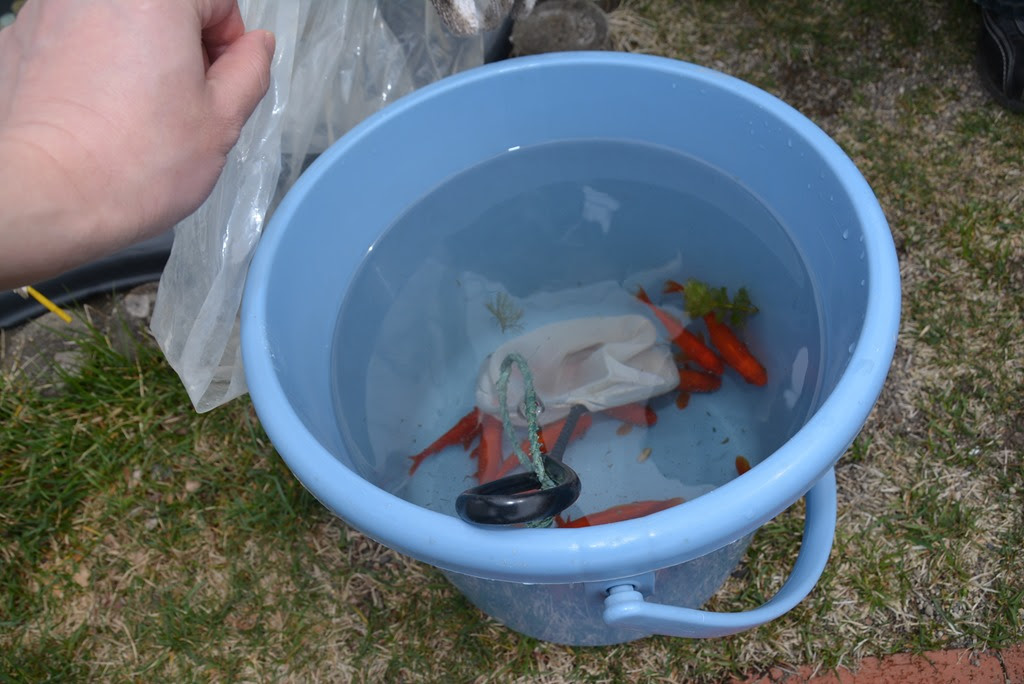 5 12 金魚の引っ越し