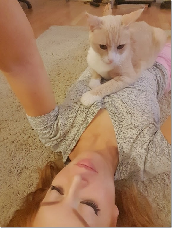 cat pile (600x800)