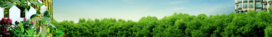 Punch Pro Home Design Suite Platinum v 12. Punch Home Design