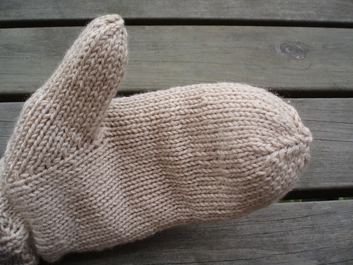 chevalier-mittens palm