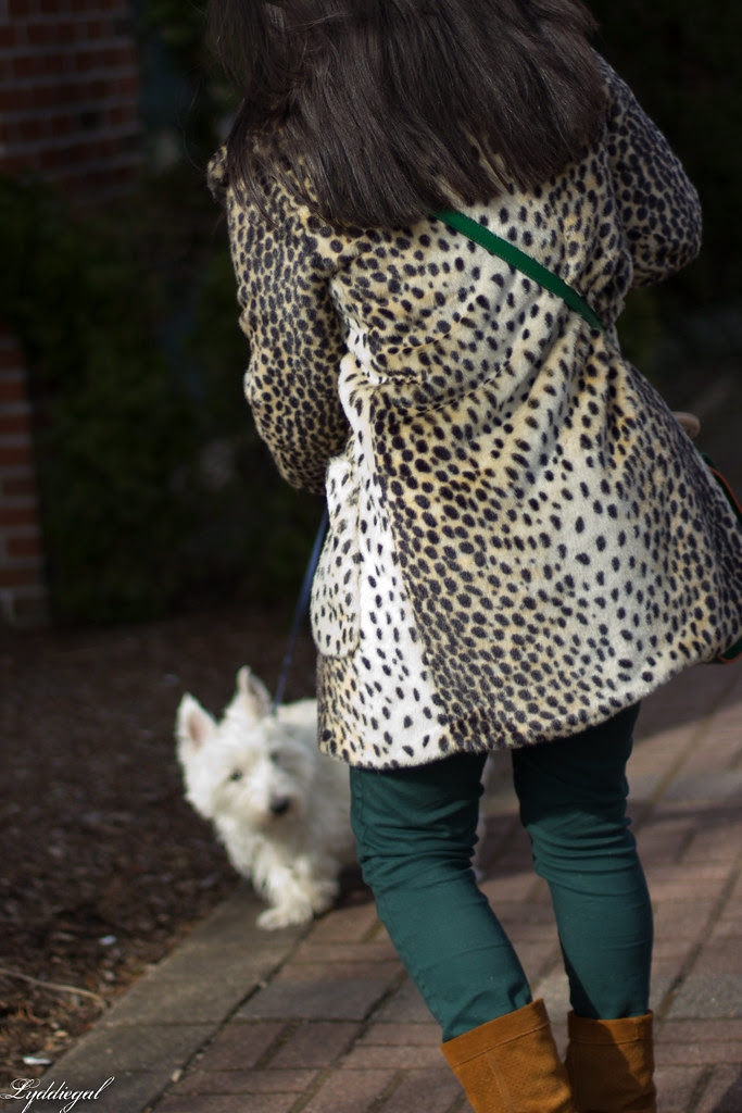 the leopard, the gingham and the westie-1.jpg