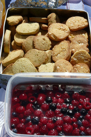 picnic_sucr__3