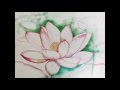 √1000以上 平和 花 イラス�� 281264-平和 花 イラスト