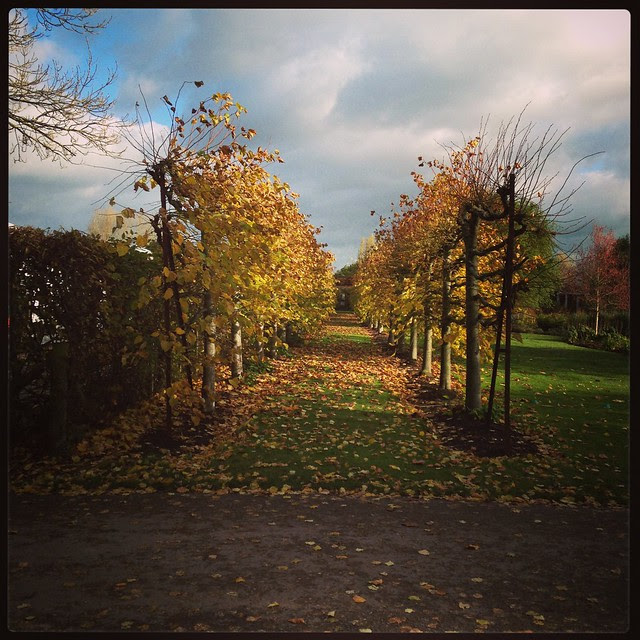 Autumn afternoon