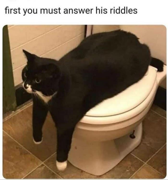dailyhaha funny pictures
