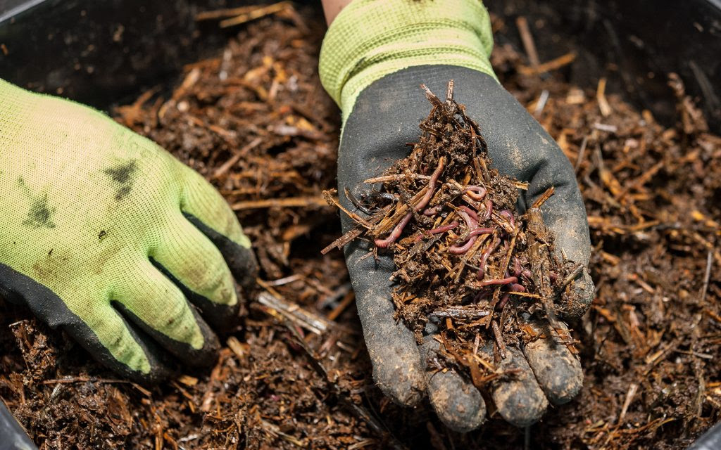 veganics for organic, vegan cannabis