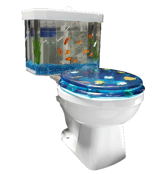 And if I were a fish, I'd wonder why my caretakers always turn their backs 