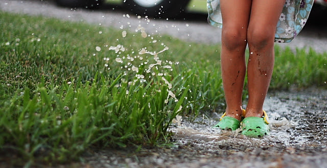puddlejumper