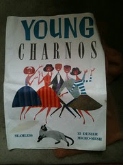 Denier Nylon Tights from circa 1950s by billyrosendale