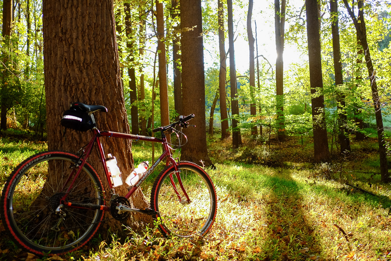 Thinking Of Rebuilding A 1996 Cannondale Beast Of The East Mtb