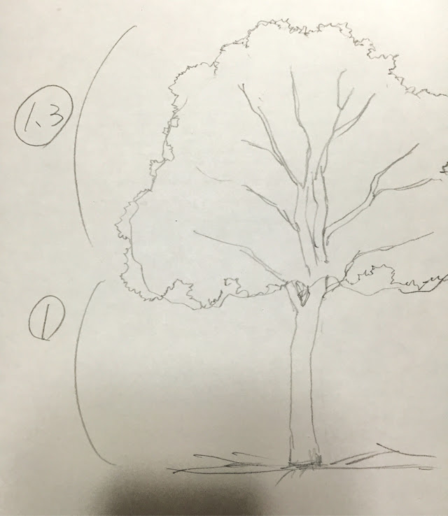 木イラストの描き方】絵の初心者ほど一気に上達する【木の書き方練習法】教えます！【イラスト講座】 | 画力ゼロからはじめるイラスト漫画生活