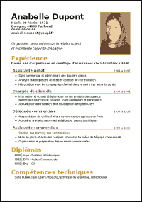 CV 01 (curriculum vitae)