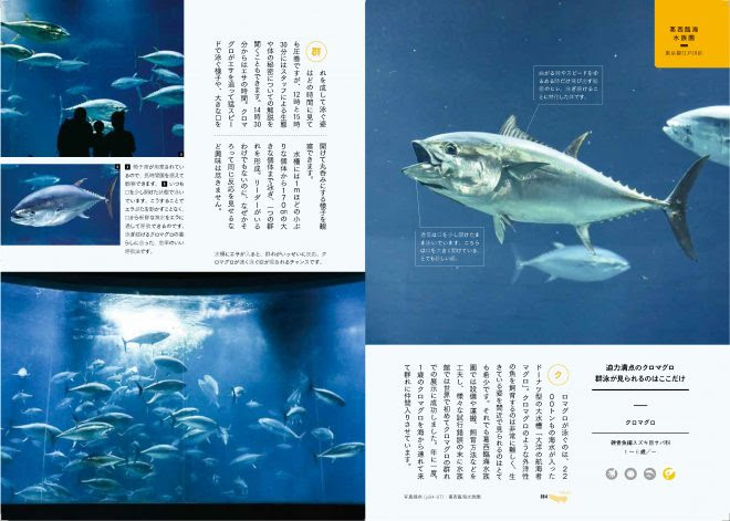 新刊ピックアップ コロナ禍だからこそできた キモチのわかる１冊 水族館めぐり 動物園めぐり 同時2冊発売中 キワメテ 水族館