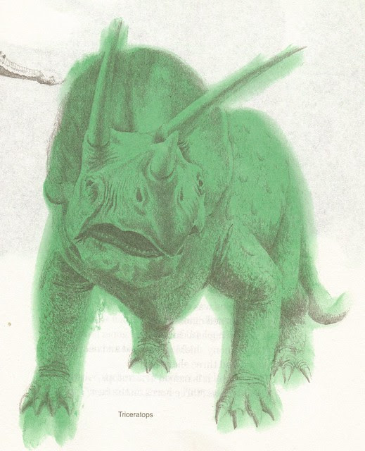 Triceratops