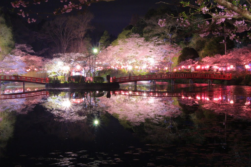 Twitter 満開 きれいな桜の写真を集めてみました 幻想的空間でお花見気分だああミ W 彡 がうがうゲームブログミ W 彡