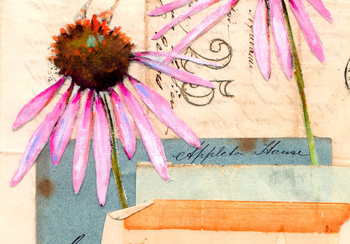 Bluebird & Coneflower Print