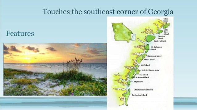 Georgia Habitats Atlantic Ocean