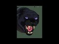 Realistic Black Panther Animal Drawing