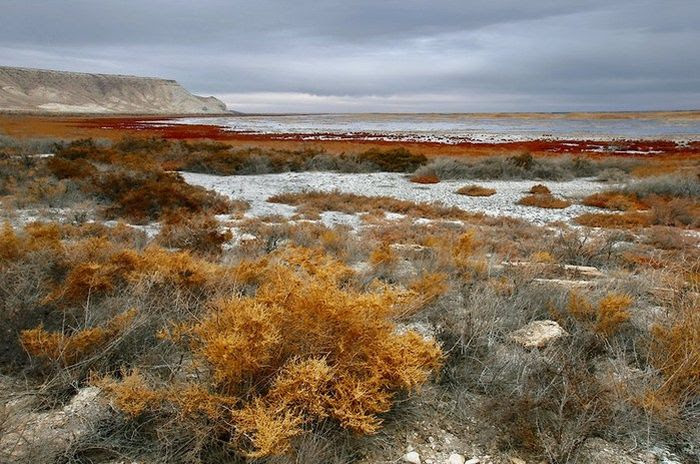 Aral Sea. The Dead One (17 pics)