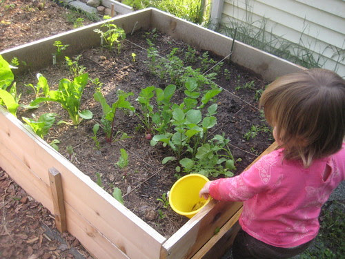 lil gardener