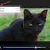 Facebook Videos Free Download : Facebook video downloader free and online.