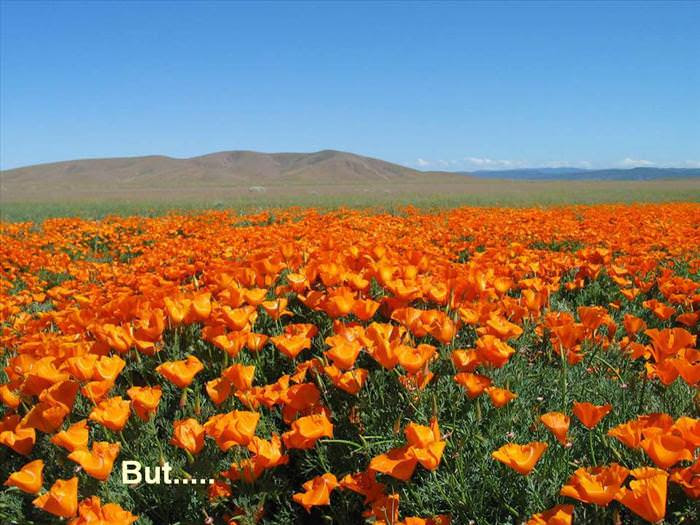 Fun & Info @ Keralites.net