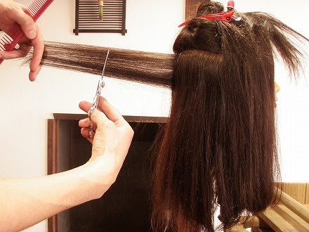 毛量の減らし方 髪処 禅