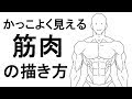 最高のコレクション 筋肉 背中 描き方 215402-筋肉 背中 描き方