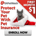 Pet Health Insurance For Cats & Dogs