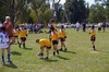Footy_blog_1