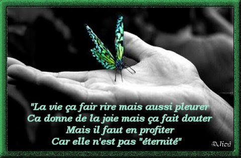 La Vie Est Faite De Rencontres Citation Spraytech Com