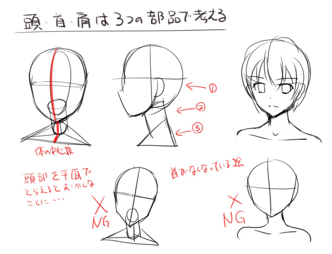 頭 首 肩の連結について 上達 アニメイラスト解体新書