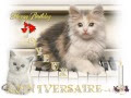 25 ++ carte d'anniversaire de chat 175092