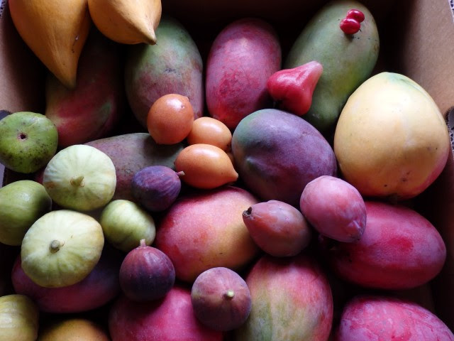 Fruity treats
