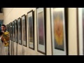 Видео "Звезды, как цветы" Владимир Широков - Галерея Margo Art