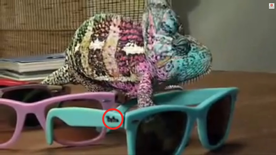 Chameleons Can Change Color But That Video Ain T Real BEDECOR Free Coloring Picture wallpaper give a chance to color on the wall without getting in trouble! Fill the walls of your home or office with stress-relieving [bedroomdecorz.blogspot.com]