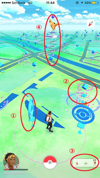 ポケモンgoでレアポケモンをゲット 東京の6つのスポットで検証 東京ルッチ