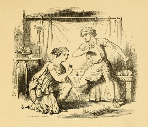 Feles et Venus