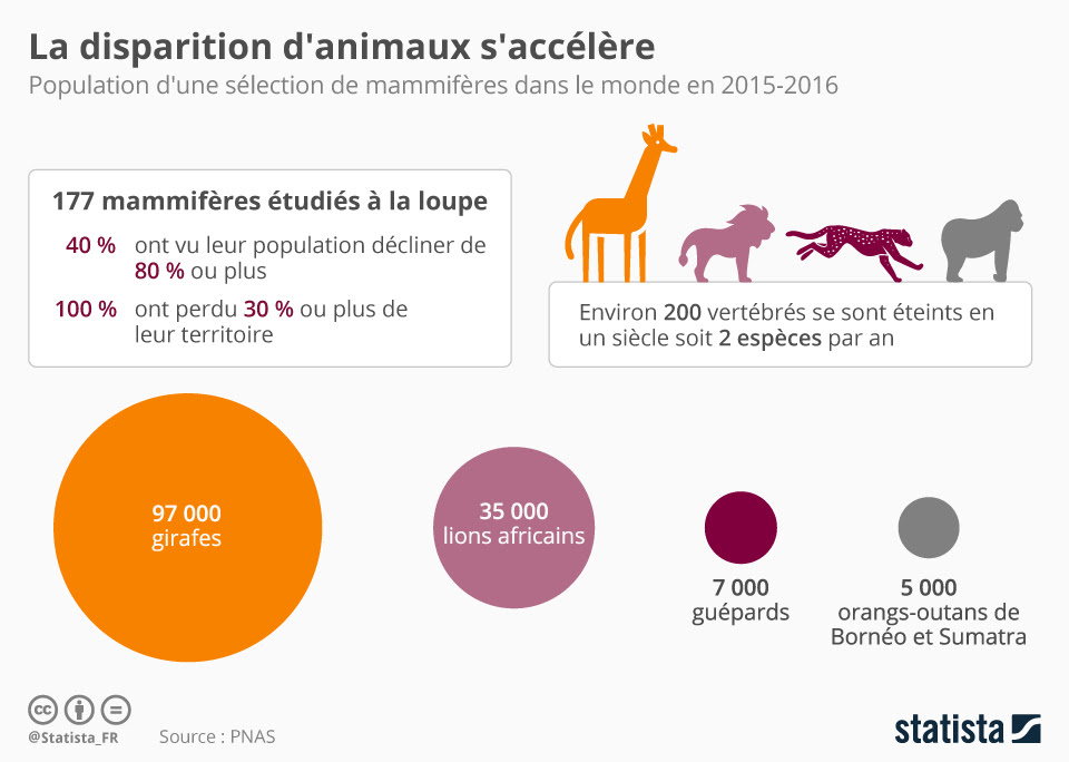 Graphique La Disparition Danimaux Saccélère Statista