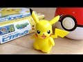 コレクション ピカチュウ プラモデル 225051-ピカチュウ プラモデル クイック