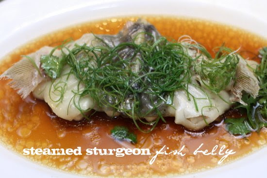 steamed sturgeon belly