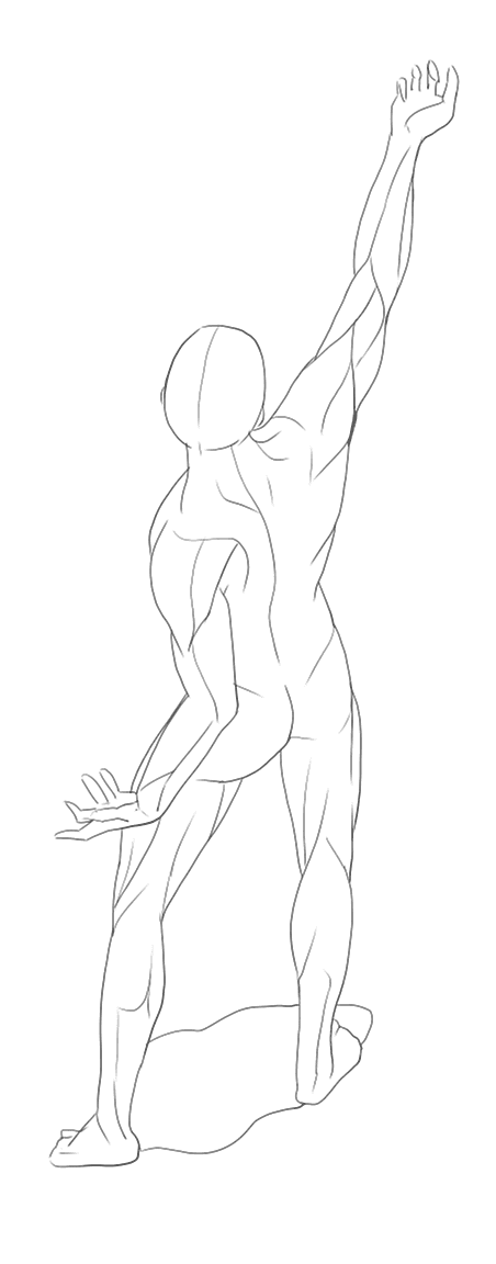 ポーズマニアックスのトレス練習 バックヤード