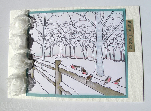 Many Thanks 5 Robins in Winter