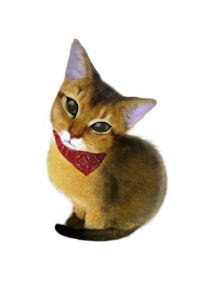 シュー太のくせに かわいい猫キャラクター 猫キャラグッズ 猫キャラ雑貨